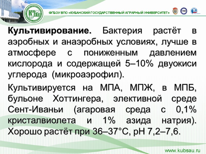 Культивирование. Бактерия растёт в аэробных и анаэробных условиях, лучше в атмосфере с пониженным давлением